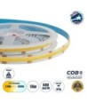 GLOBOSTAR® BEE 70349 Ταινία LED 14W-m 1540lm-m 120° DC 24V IP20 608 x COB Chip-m Ρυθμιζόμενο Λευκό CCT από 2700K έως 6000K Dimmable - Sanan COB Chip - Μ500 x Π1 x Υ0.2cm - Ρολό 5 Μέτρων - 5 Χρόνια Εγγύηση